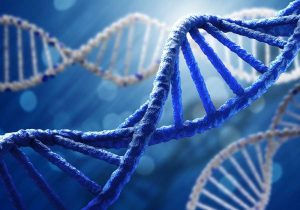  Inherited Memory Code: How Cells Pass On Experience Through Epigenetics تجهیز گستر