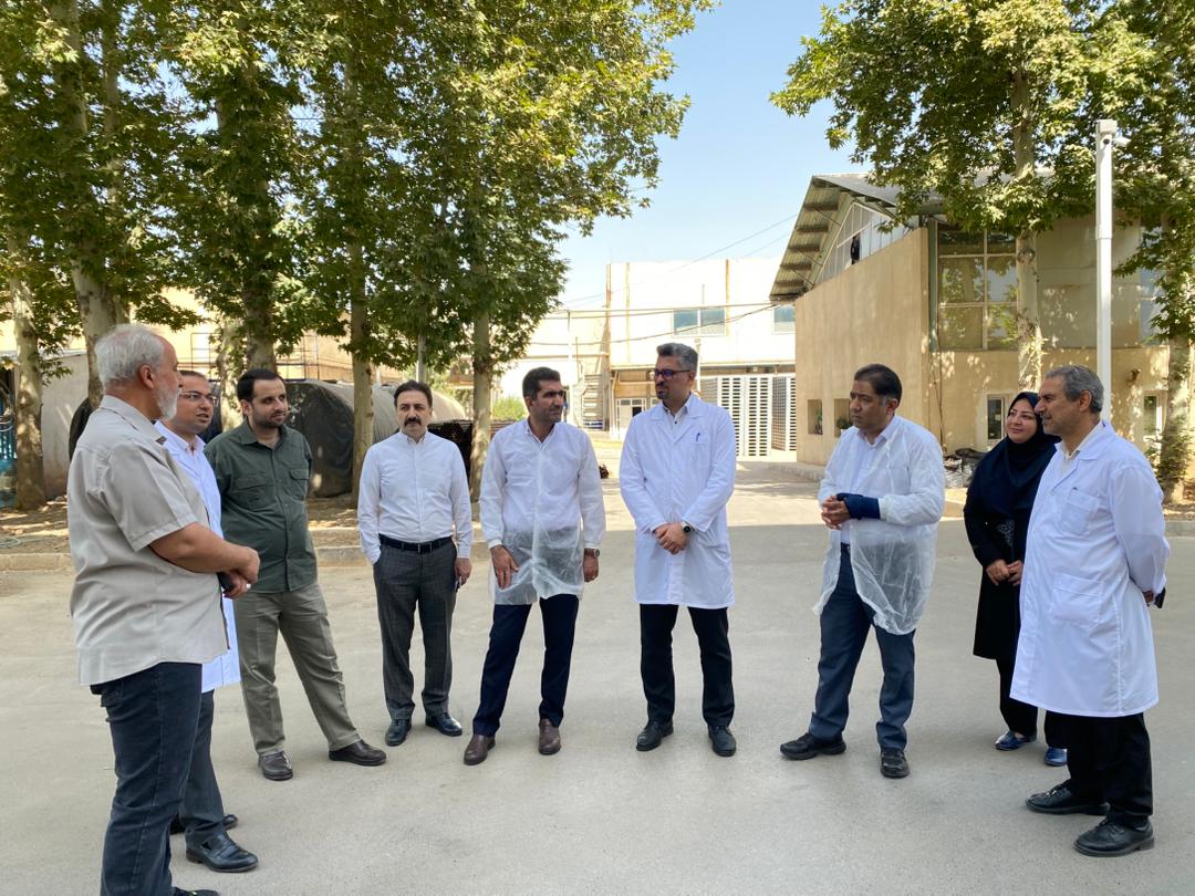 بازدید رئیس